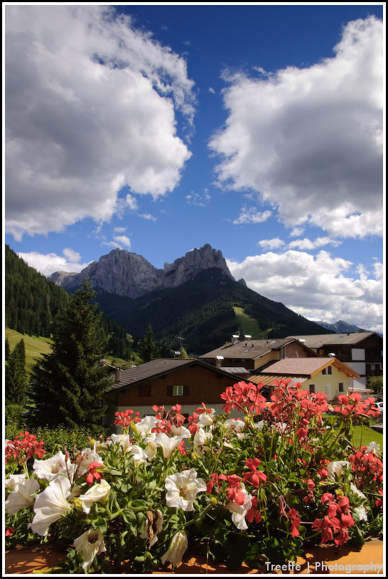 Floreal composition with a view on the dolomites