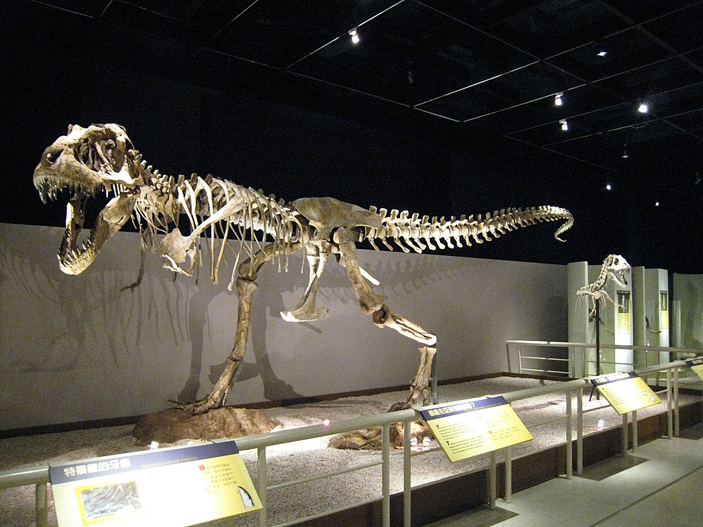 trex fossil