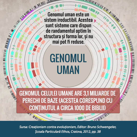 Genomul uman are 3.1 miliarde de perechi de baze